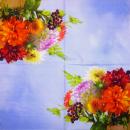 325 Rosen - 3-lagig - AVEC
